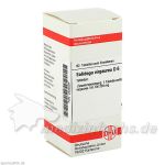 SOLIDAGO VIRGA D 6, 80 ST