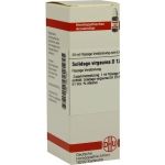SOLIDAGO VIRGA D12, 20 ML