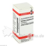 SOLIDAGO VIRGA D 6, 10 G