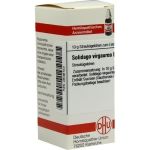 SOLIDAGO VIRGAUREA D 8, 10 G