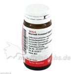 Skorodit Kreislauf Globuli velati, 20 G