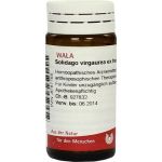 SOLIDAGO VIRGA EX HERB D 3, 20 G