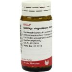 SOLIDAGO VIRGA EX HERB D 4, 20 G