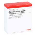 Stramonium Injeel Ampullen (10 stk)