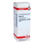 Sticta D 6 Dilution (20 ml)