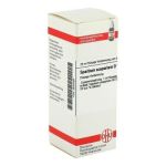 Spartium Scoparium D 1 Dilution (20 ml)