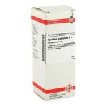 Spartium Scoparium D 4 Dilution (50 ml)