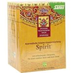Spirit Kräutertee bio Salus, 15 ST