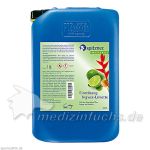 Spitzner Massage Einreibung Ingwer Limette, 10000 ML