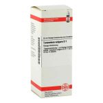 Tanacetum Vulgare D 1 Dilution (50 ml)