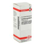 Sumbulus Moschatus D 4 Dilution (20 ml)