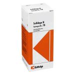 Synergon 78 Solidago N Tropfen (50 ml)