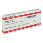 Strophanthus D 6 Ampullen (10X1 ml)