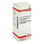 Sulfur Jodat. D 12 Dilution (20 ml)