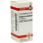 SYZYGIUM JAMB D 6, 10 G