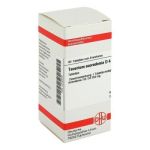 Teucrium Scorod. D 4 Tabletten (80 stk)