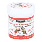 Teufelskralle+murmeltier 2in1 intensiv Creme (125 ml)
