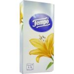 TEMPO BOX Karton, 80 ST