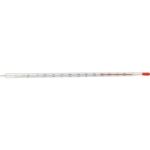 Thermometer chemische bis 100 Grad C, 1 ST