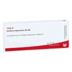 Urethra Masculina Gl D 6 Ampullen (10X1 ml)