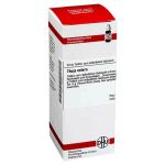 Thuja Extern Tinktur (50 ml)