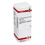 Thuja D 6 Dilution (50 ml)