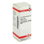 Thuja C 30 Dilution (20 ml)