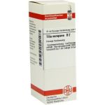 Tilia Europaea D 2 Dilution (20 ml)