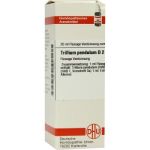 Trillium Pendulum D 2 Dilution (20 ml)