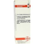 Trillium Pendulum D 6 Dilution (20 ml)