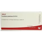 TONSILLAE PALATINAE GL D12, 10X1 ML