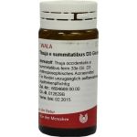 THUJA E SUMMITATIBUS D 3, 20 G