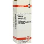Veronica Officinalis D 1 Dilution (20 ml)