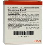VACCININUM Injeel Ampullen, 10 ST