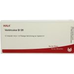 VENTRICULUS GL D 5 Ampullen, 10X1 ML