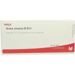VESICA URINARIA GL D 12 Ampullen, 10X1 ML