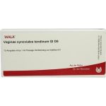 VAGINAE SYNOVIALIS TENDINUM GL D 5 Ampullen, 10X1 ML