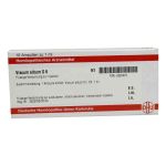 Viscum Album D 6 Ampullen (10X1 ml)