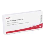 Viscum Mali e planta tota D 6 Ampullen (10X1 ml)