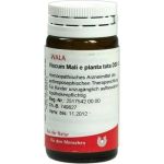 VISCUM MALI e planta tota D 30 Globuli, 20 G