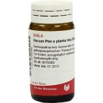 VISCUM PINI e planta tota D 30 Globuli, 20 G
