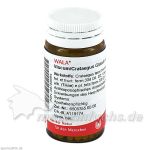 VISCUM CRATAEGUS Globuli, 20 G