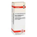 Arum Triphyllum D 2 Dilution (20 ml)
