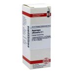 Asparagus Officinalis D 1 Dilution (20 ml)