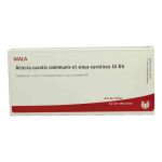 Arteria Car.com.et Sin.car.gl D 5 Ampullen (10X1 ml)