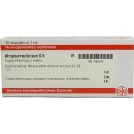 ATROPINUM SULFURICUM D 6 Ampullen, 10X1 ML