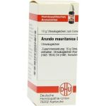 ARUNDO MAURITANICA D 4, 10 G