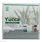 YUCCA KUR 1 Monat, 1 P