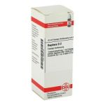 Baptisia D 2 Dilution (20 ml)