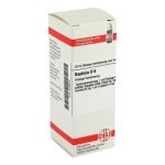 Baptisia D 6 Dilution (20 ml)